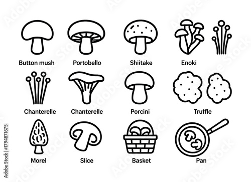Illustrated guide to twelve different mushroom types with labels