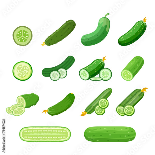 Cucumber vegetable icon set collection in flat style. Gherkin plant vector illustration on isolated background. Healthy food sign business concept.