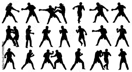 Dynamic Silhouettes of Boxers and Martial Artists in Various Action Poses.