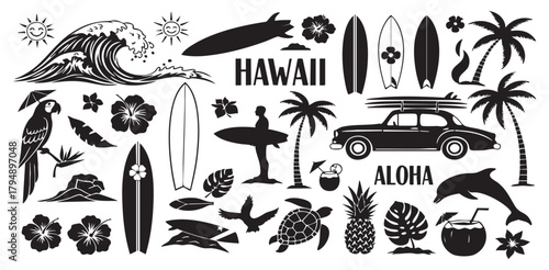 Hawaii Illustration: A captivating illustration featuring iconic symbols, evoking the spirit of aloha and the essence of surf culture. The artwork showcases an array of elements.