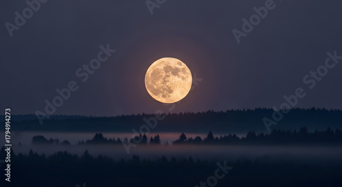 Serene Full Moon Rising Over Misty Forest Landscape at Dusk