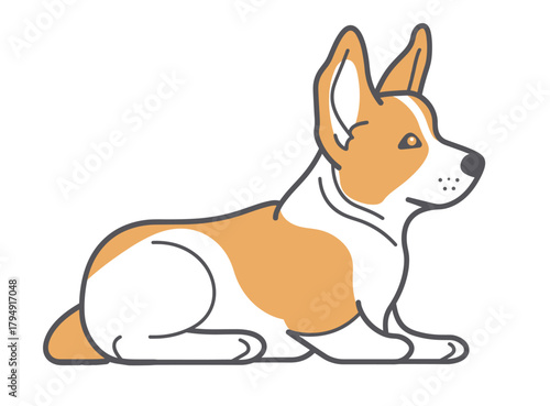 Line art of corgi dog on white background — ideal for pet care, cozy home and funny pet content