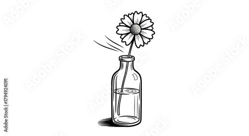 Serene single daisy sketch in clear bottle, evoking gentle beauty and tranquil simplicity