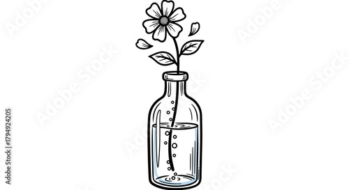 Delicate single line art illustration showcasing a flower blossoming in a transparent glass bottle
