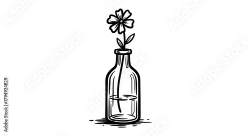 Minimalist line art illustration of a flower in a bottle evoking simplicity and freshness