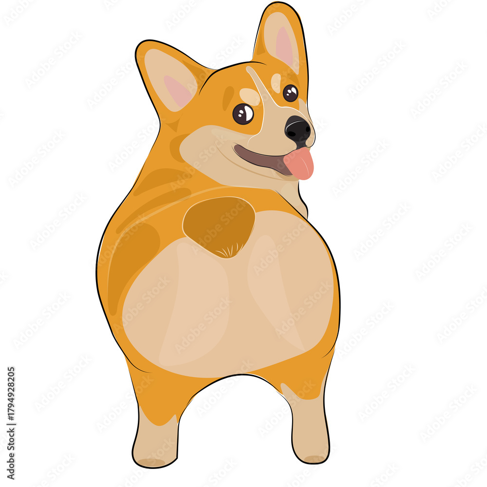 Fototapeta premium Chubby standing corgi – adorable cute cartoon dog illustration