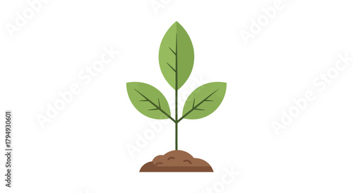 New life seedling sprout in soil in a pot with green leaves design, illustrating nature's growth and ecology