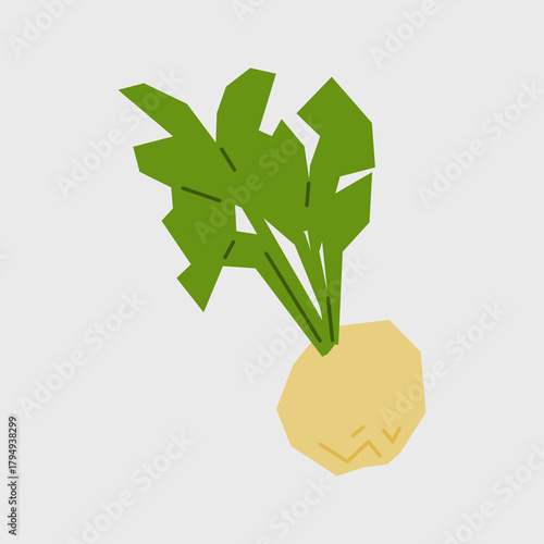 Fresh white turnip illustration. Simple icon of root vegetable for farmers market advertising. Vector symbol of harvested bulb vegetables in minimal flat style.