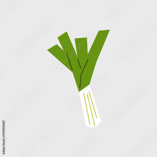 Fresh leek illustration. Simple posters with organic vegetable for farmers market advertising. Vector symbol of harvested onions in minimal flat style.