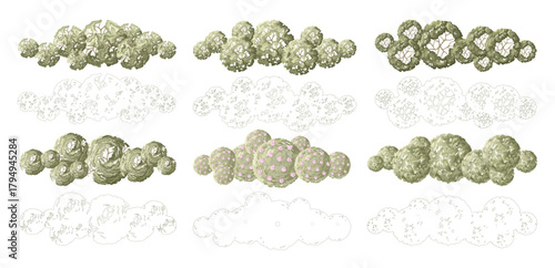 Tree for architectural floor plans. Entourage design. Various trees, bushes, and shrubs, top view for the landscape design plan. Vector illustration.