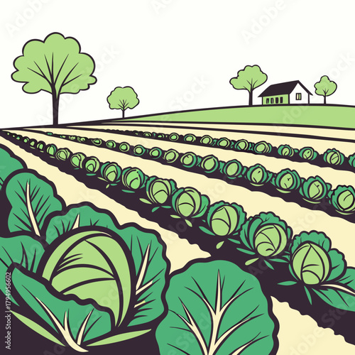 Rows of cabbage plants growing in a field with trees and houses in the background Keywords: cabbage, field, farm, agriculture, growing, cultivation, harvest, produce, vegetables, rows, plants
