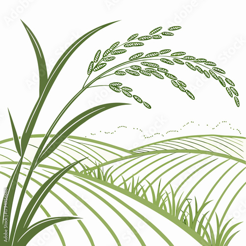 Stylized Green Rice Stalks and Plowed Fields on White Background agriculture farming