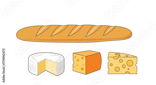 Vector illustration of baguette and assorted cheeses on white background