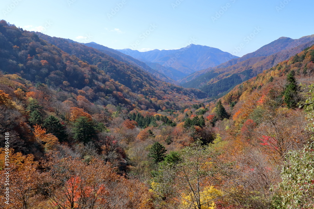 Φωτογραφία 山肌を彩る紅葉　剣山系　（四国　徳島県）
