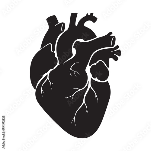 Black Silhouette of Anatomical Human Heart with Arteries and Veins vector illutrastion transparent background