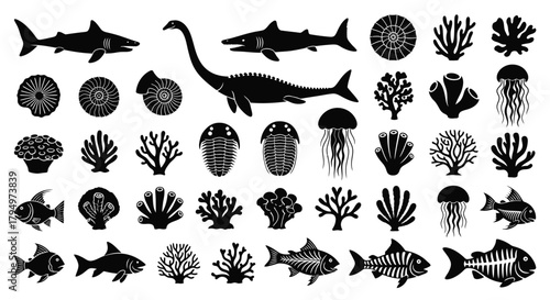 Silhouette illustration featuring marine life, including sharks, a plesiosaur, jellyfish, coral, shells, and fish.