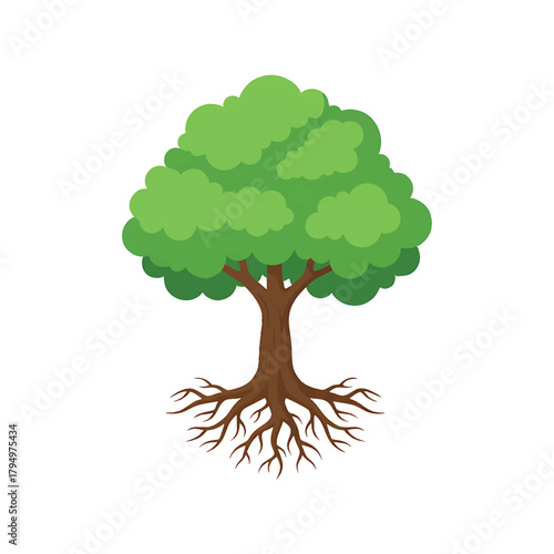 Green deciduous tree with visible brown roots on white background vector illutrastion transparent background