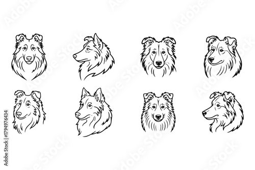 Eight elegant Collie dog head illustrations in various profiles and frontal views, rendered with sophisticated vector line art, ideal for conceptual pet designs