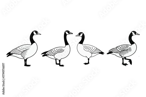 Black and White Illustrations of Four Geese Walking in a Row, Perfect for Nature and Animal Related Design Projects
