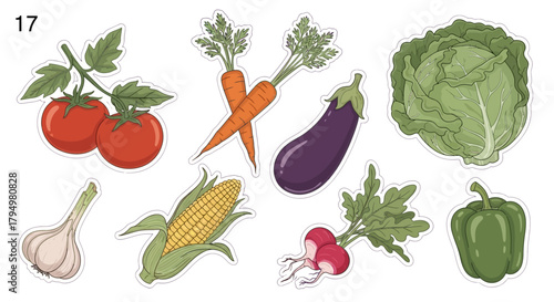 Fresh Harvest A Colorful Collection of Vegetables, Perfect for Healthy Eating and Culinary Projects