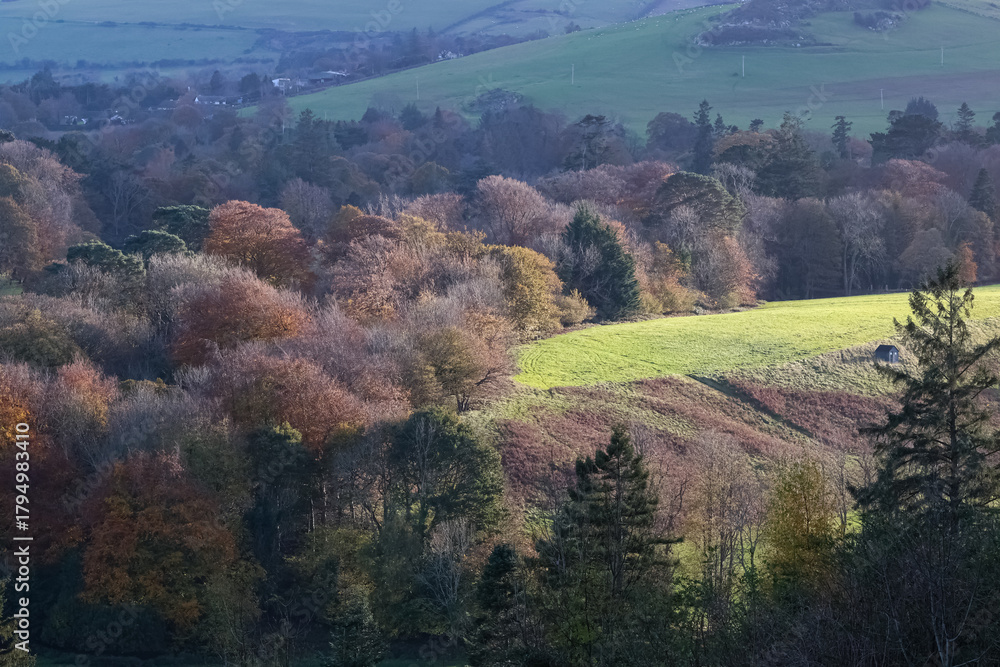 Obraz premium Golden Irish landscapes with autumn hues, green meadows, mountain vistas, and sunlight playing through vibrant, multicolored leaves