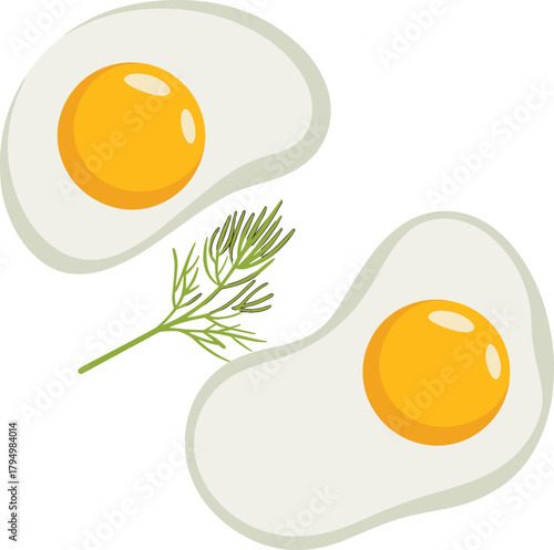 Two fried eggs with a sprig of dill on a white background breakfast food