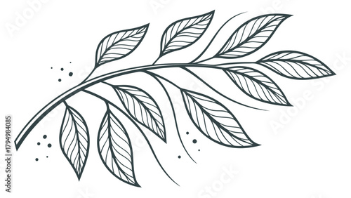 Elegant botanical illustration featuring delicate leaf line art, perfect for modern designs and nature inspired projects