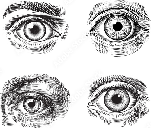 Four human eyes in engraving style