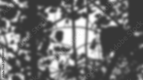 Fotografie Tree shadow transparent mask with soft dappled leaf patterns for photo video or