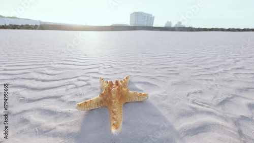Photography A vibrant starfish lies on smooth sand as the sun sets behind distant buildings