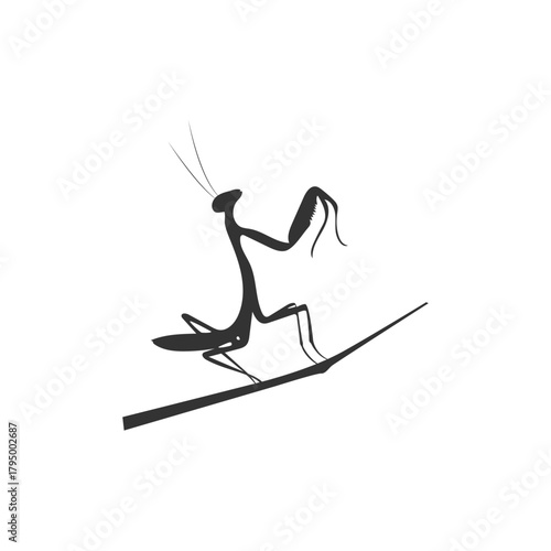 a praying mantis Insect animal vector art illustration isolated on white