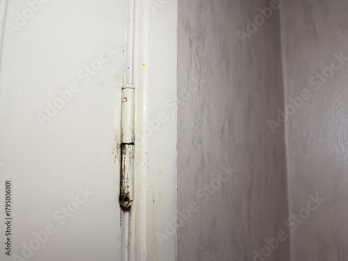 Old door hinges on a wooden door in an apartment, hinge repair. High quality