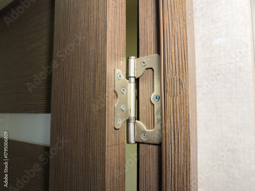 Old door hinges on a wooden door in an apartment, hinge repair. High quality
