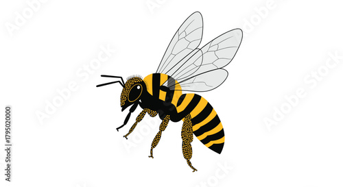 A detailed illustration of a flying bee isolated on a white background, showcasing its anatomy and markings.
