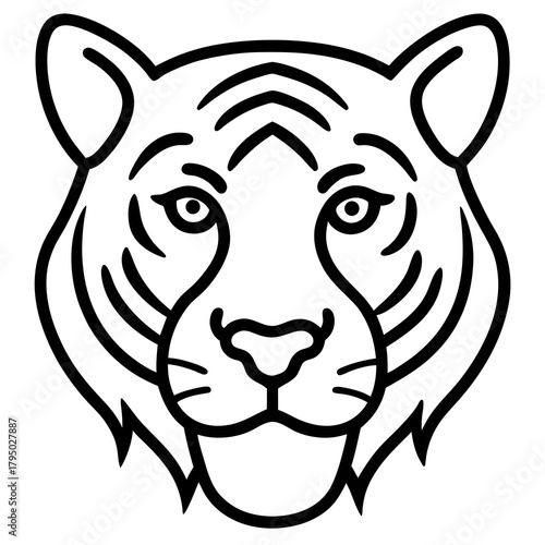 vector illustration of a tiger