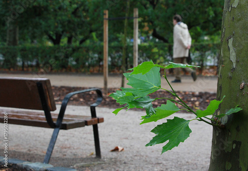 Tableau sur toile Brote verde y banco del parque con persona con manos atrás caminando