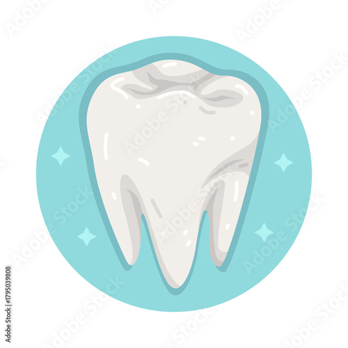 Illustration of Human Teeth