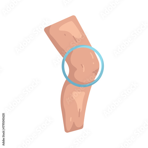 Illustration of Human Knee