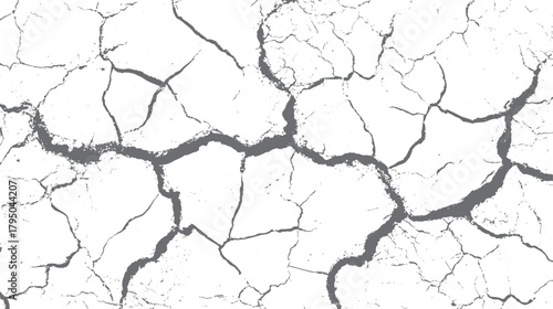 Gray cracked earth texture with irregular fissures and small granular details on white background arid