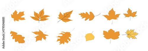 Set of autumn leaves and branches from different trees, maple, oak, aspen, chestnut. Simple flat falling yellow, red, orange autumn leaf. Vector illustration on white background. Vector illustration.