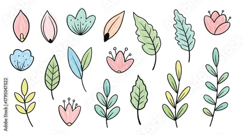 A set of simple, minimalist floral elements featuring a hand-drawn sketch outline and a soft pastel fill. The collection includes various stylized leaves and flowers in gentle shades of pink, blue
