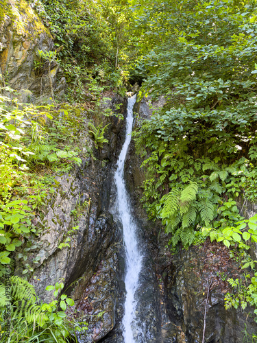 waterfall in the forest