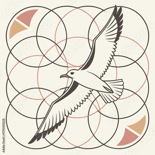 Seagull in flight over geometric circles with triangle elements in the upper corners design