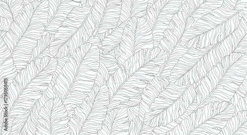 Stylized black and white outline pattern of overlapping tropical banana leaves with visible veins, creating a dense natural background texture.
