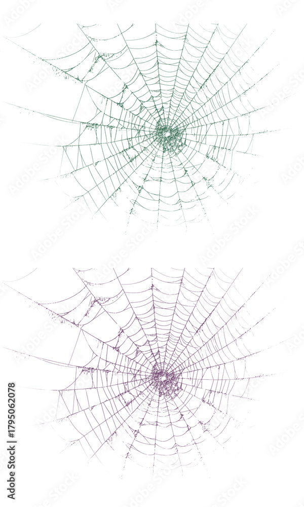 Fototapeta premium Intricate green and purple spider webs pattern background texture.
