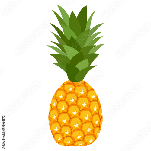 pineapple fruit illustration, summer fresh fruit theme	