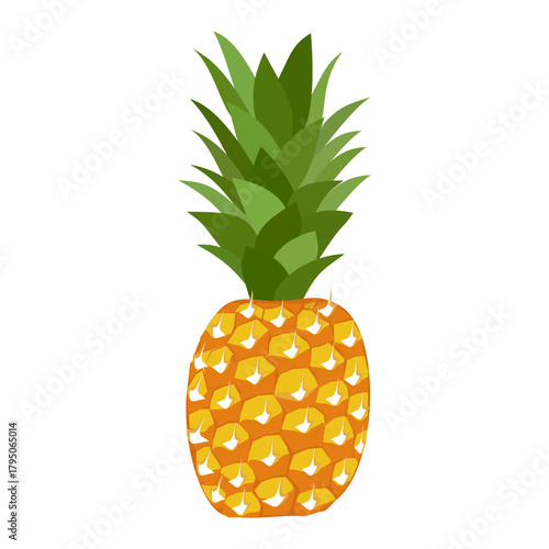 pineapple fruit illustration, summer fresh fruit theme	