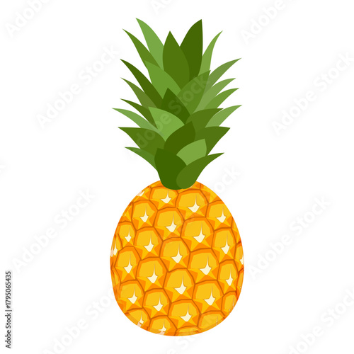 pineapple fruit illustration, summer fresh fruit theme	