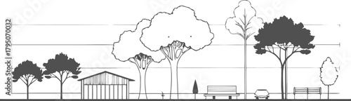 Architectural Drawing of Trees and Structures with Height Scale architecture illustration