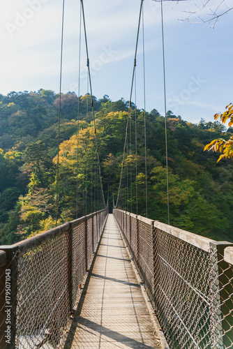 日本：回顧（みかえり）の吊橋と箒（ほうき）川【日光国立公園】栃木県那須塩原市